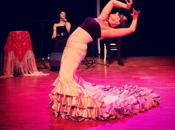 Flamenco Shows Wien